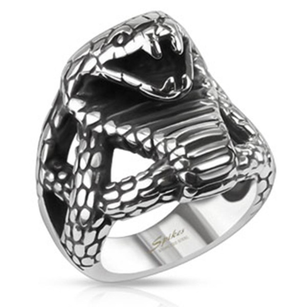 Tapsi´s Coolbodyart® Edelstahl Unisex Ring silberfarben 24mm breit Cobra